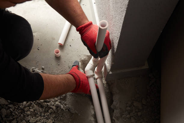 Best Clogged Drain Plumber  in Lakeville, MN